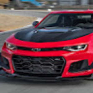 Meet your Posher, Zachary